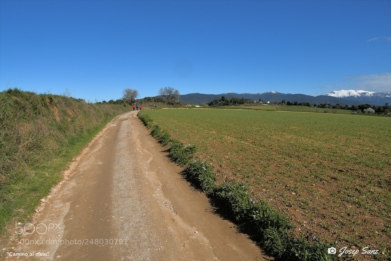 Nikon D7500 sample photo. Camino al cielo photography