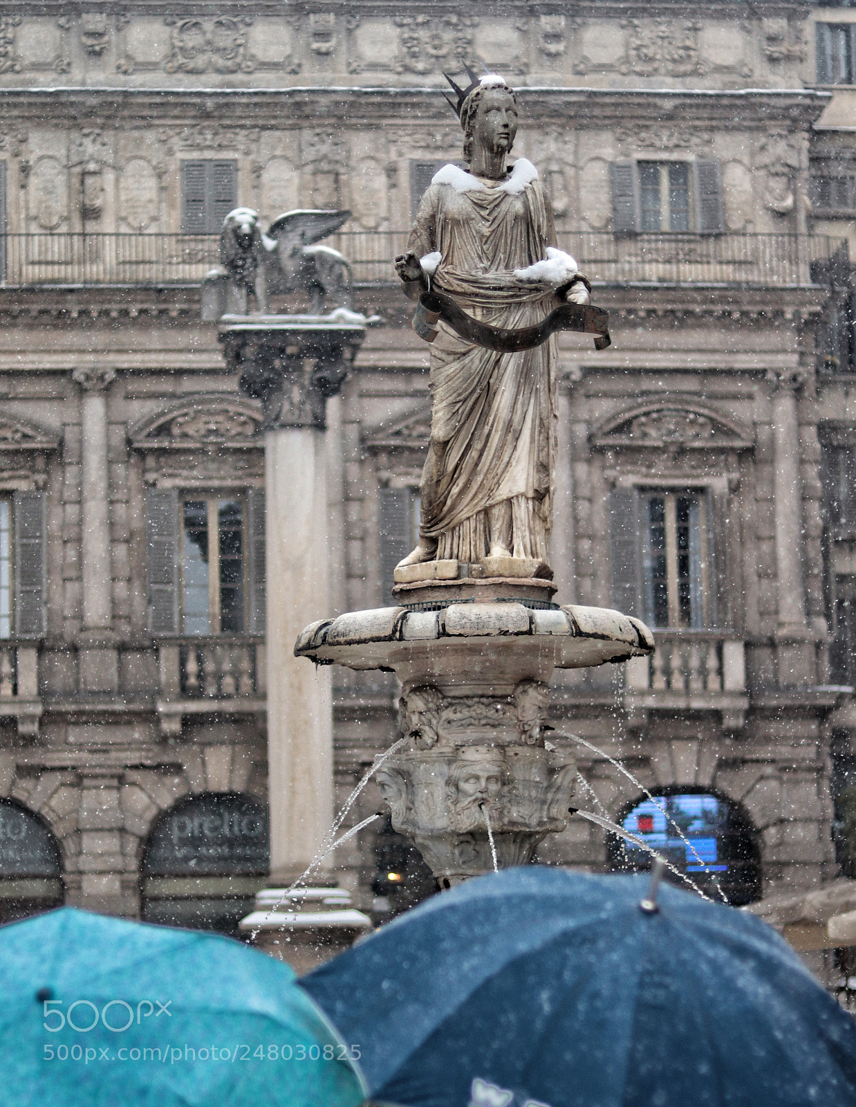 Canon EOS 77D (EOS 9000D / EOS 770D) sample photo. Osservare sotto la pioggia photography