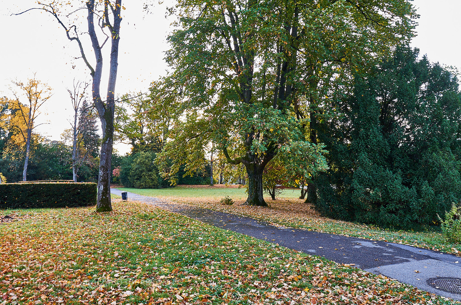 Canon EOS 7D sample photo. Park, musée ariana photography