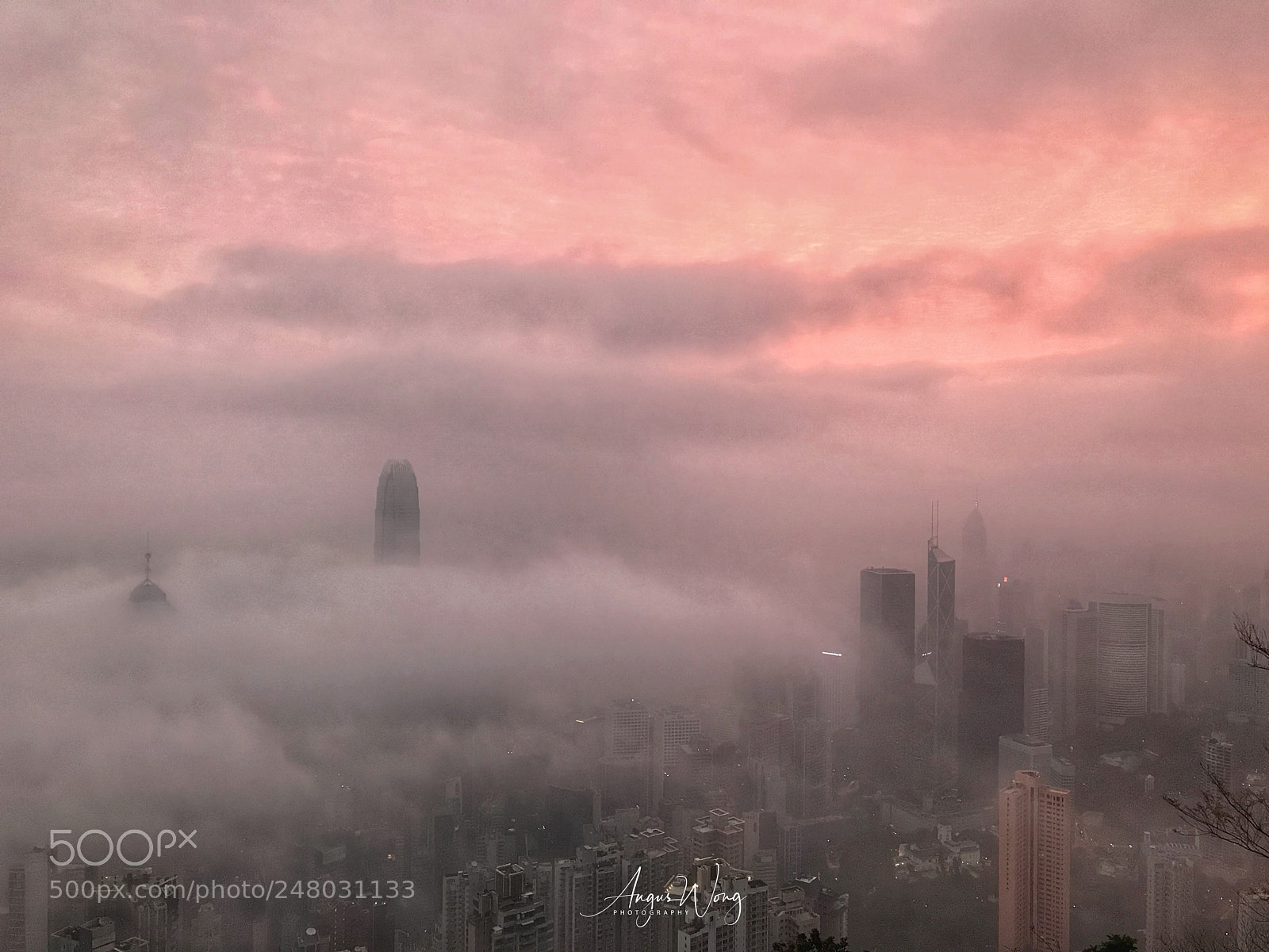 Apple iPhone 7 Plus sample photo. Foggy sunrise panoramic in photography