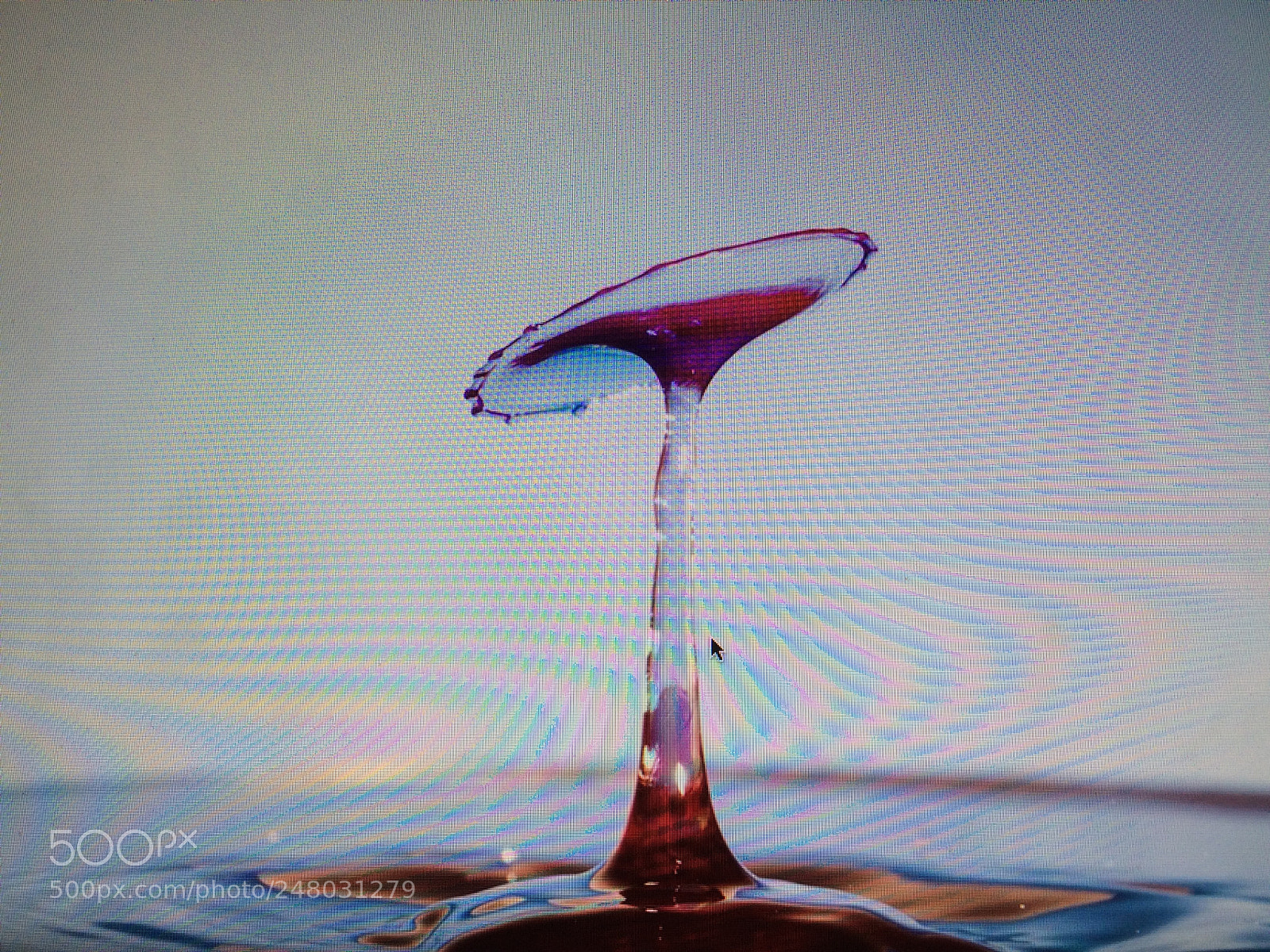 Apple iPhone 5s sample photo. Ccda dc becce photography
