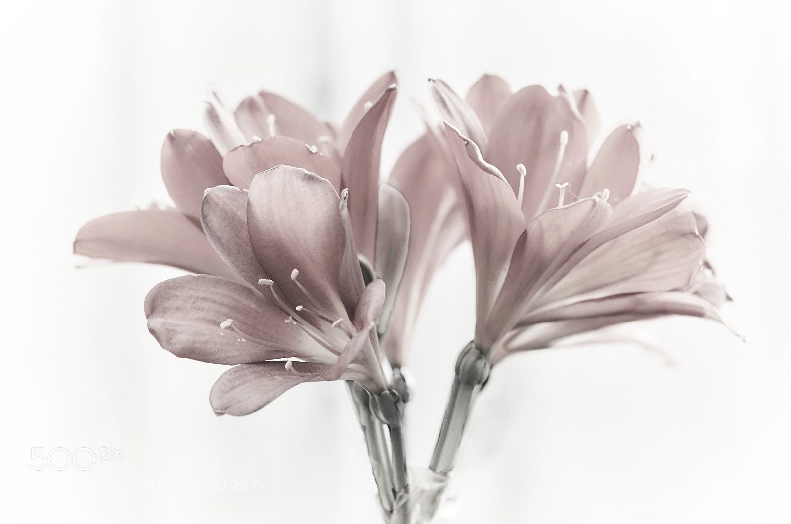 Sony ILCA-77M2 sample photo. ... photography