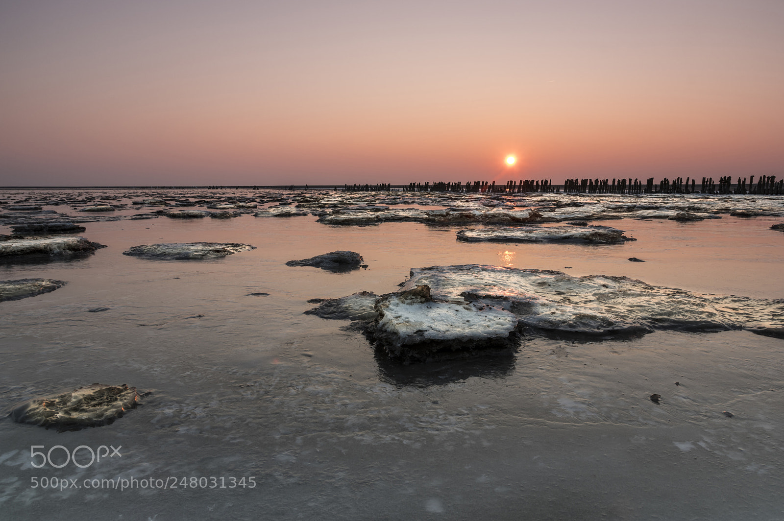Pentax K-3 sample photo. Paesens moddergat photography