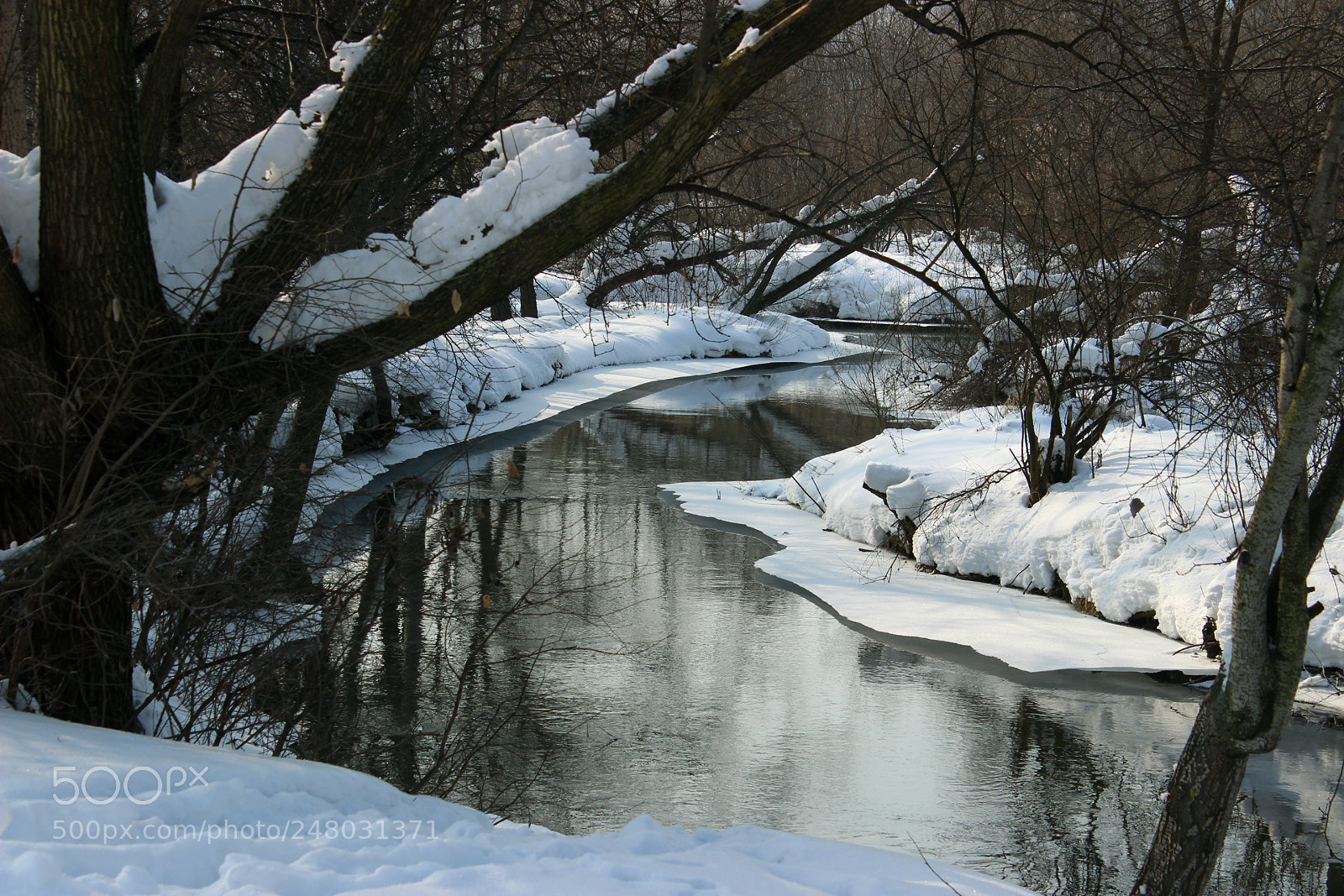 Canon EOS 600D (Rebel EOS T3i / EOS Kiss X5) sample photo. *** photography