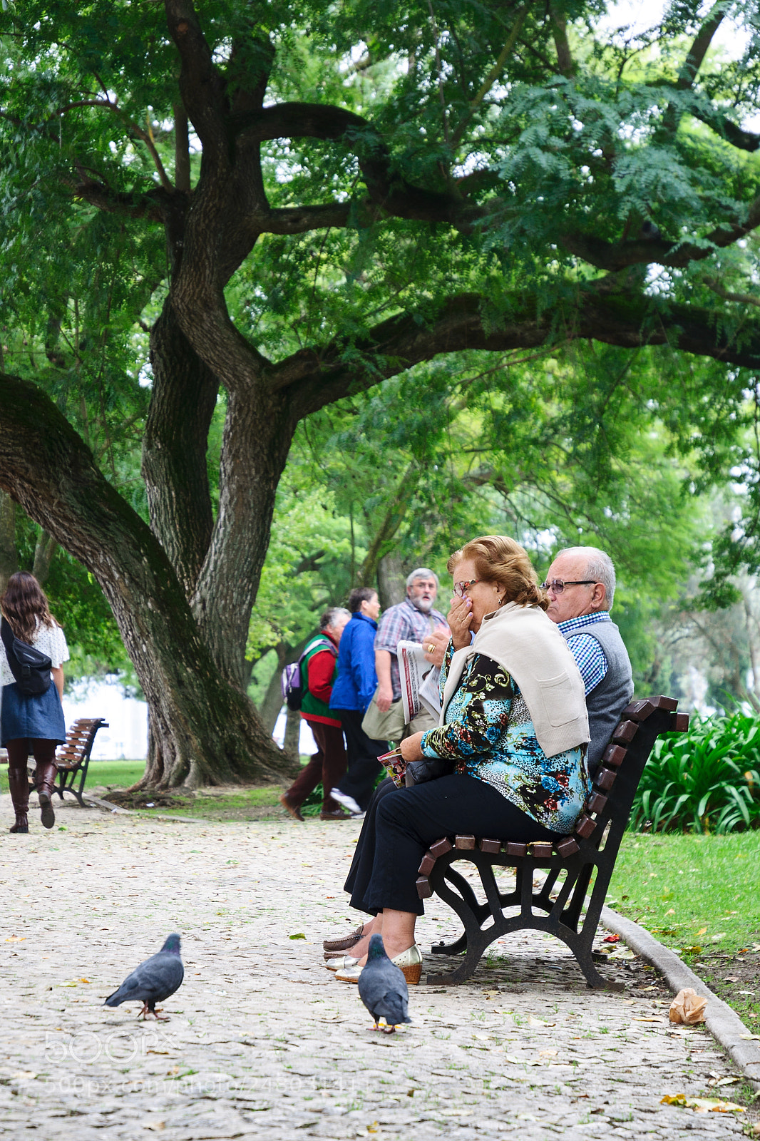 Nikon D90 sample photo. The old couple's leisure photography
