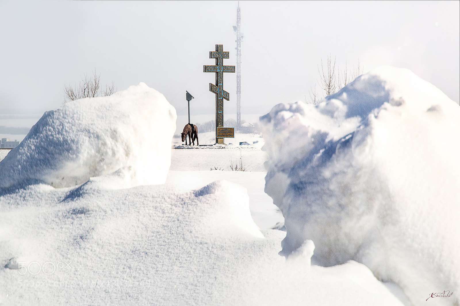 Nikon D3100 sample photo. Белая Калитва photography