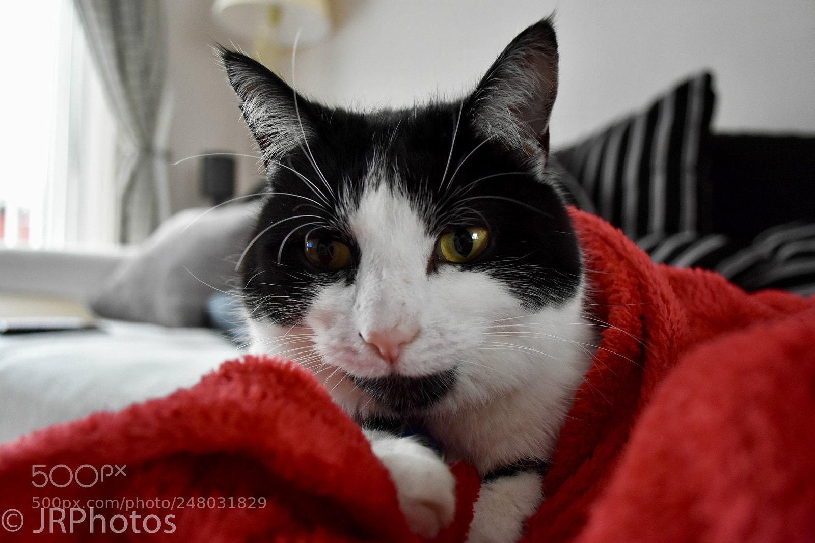 Nikon D7200 sample photo. On a cold, wintery photography