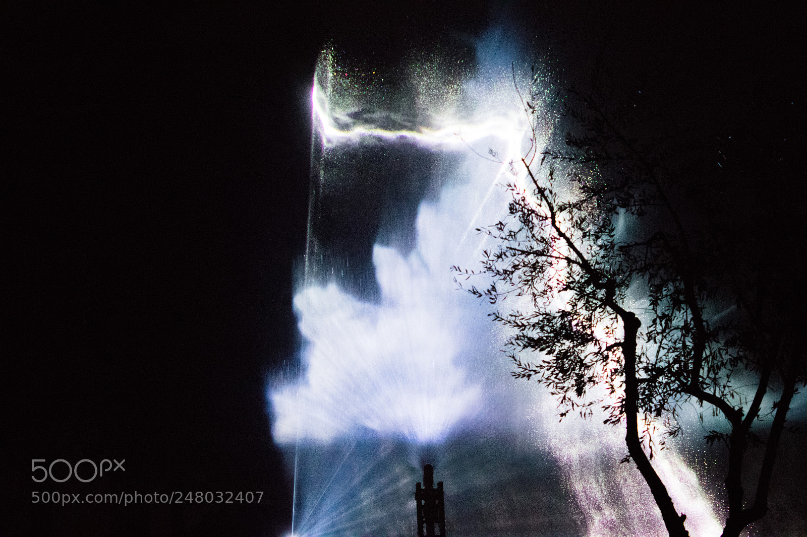 Canon EOS 80D sample photo. Cidneon 2018 photography