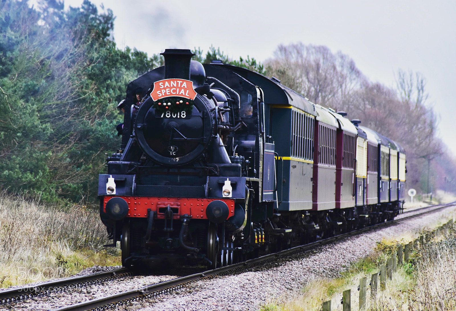 Nikon D7200 sample photo. 78018 takes on its photography