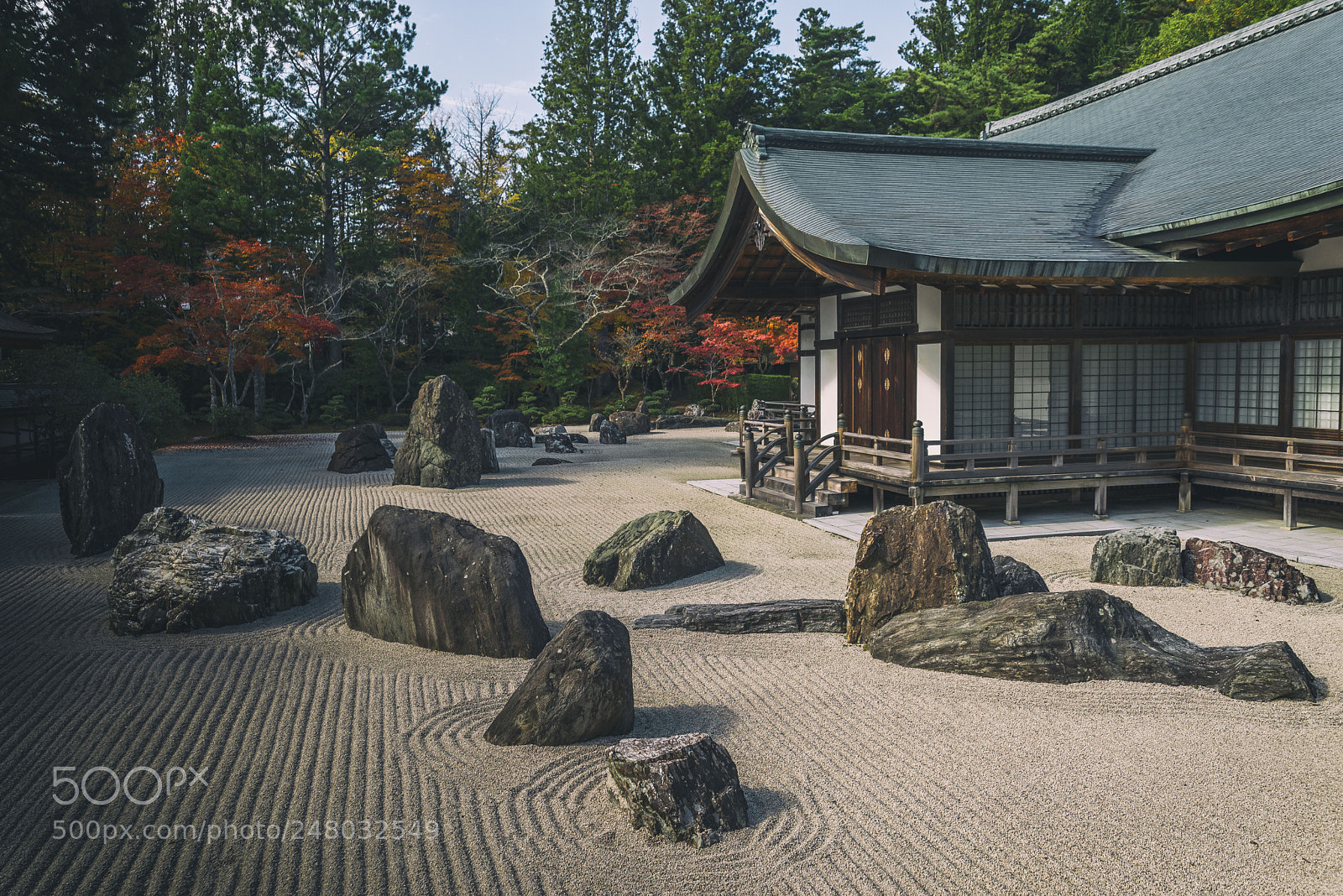 Nikon D610 sample photo. Japanese garden photography