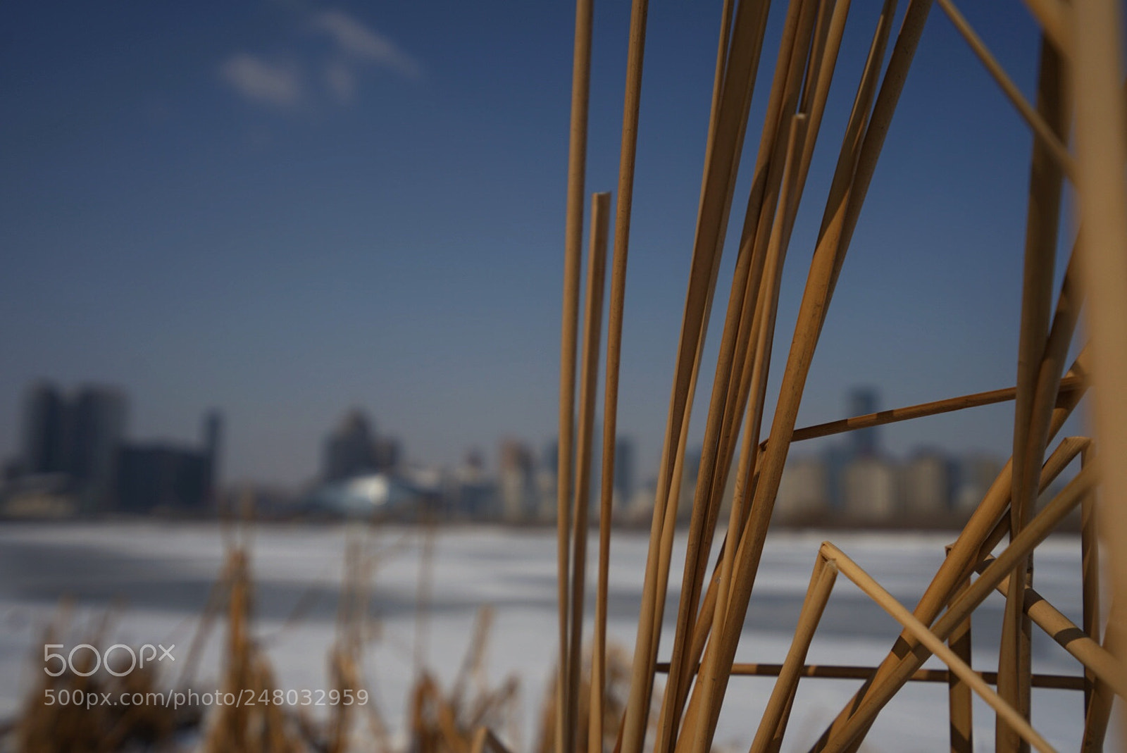 Sony a7 II sample photo. Untitled photography
