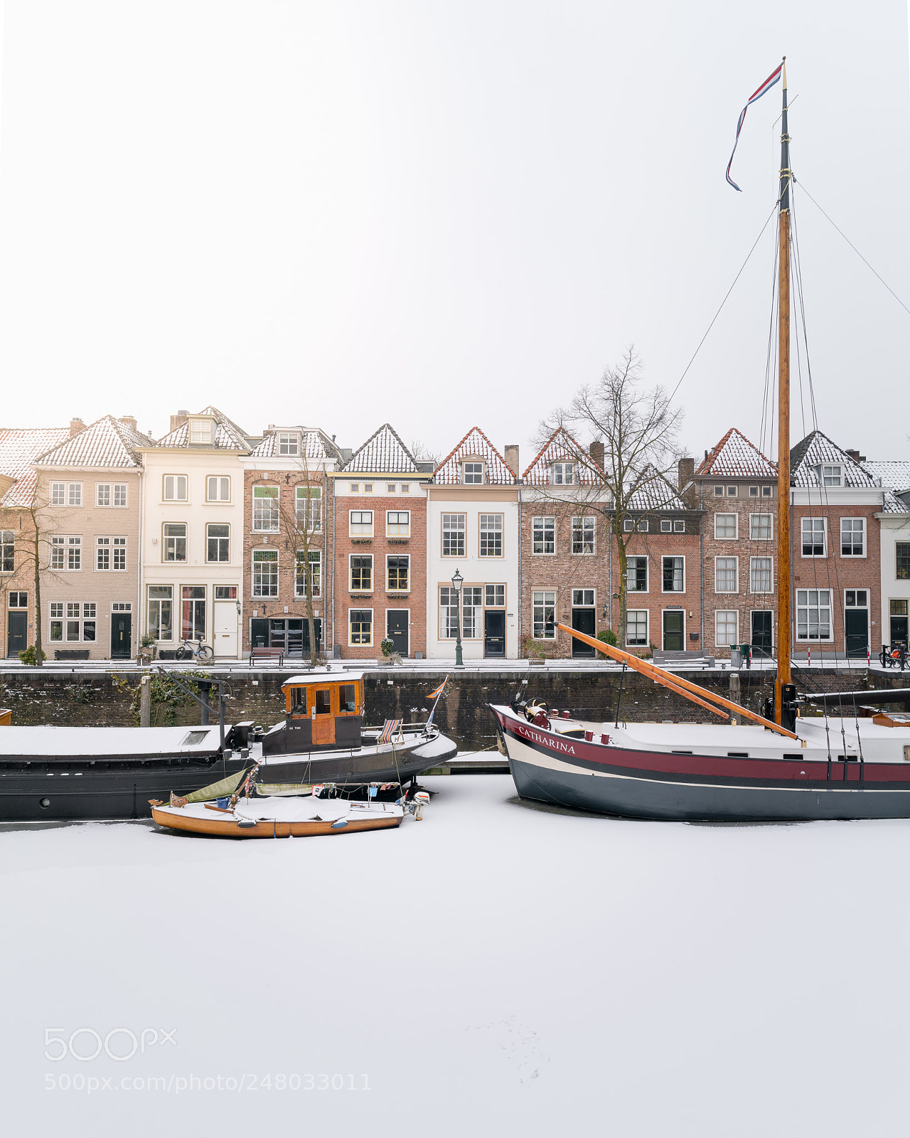 Sony a7R II sample photo. Winter wonder land photography