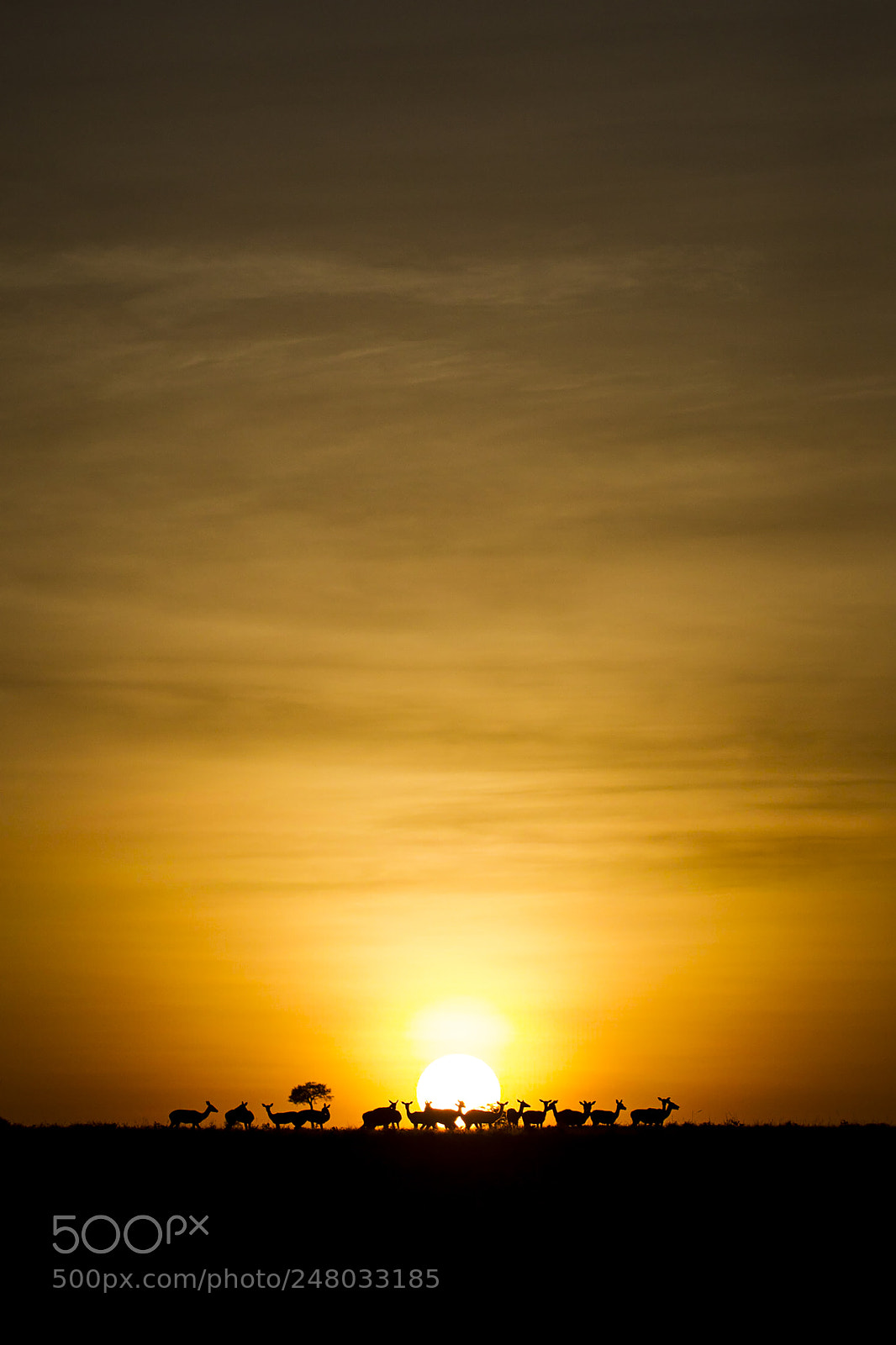 Canon EOS-1D Mark IV sample photo. Morning photography