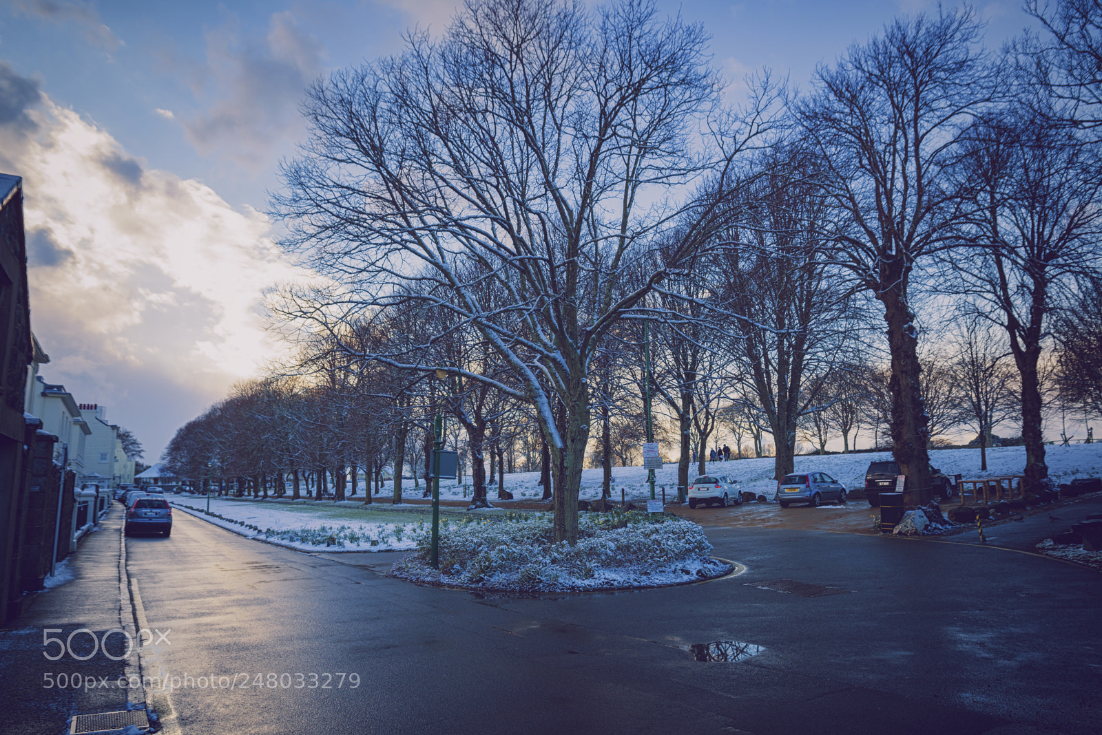 Nikon D610 sample photo. Winter days photography