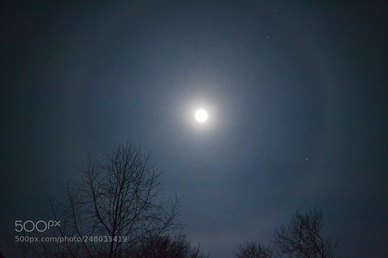 Nikon D3100 sample photo. C era qualcosa nell photography