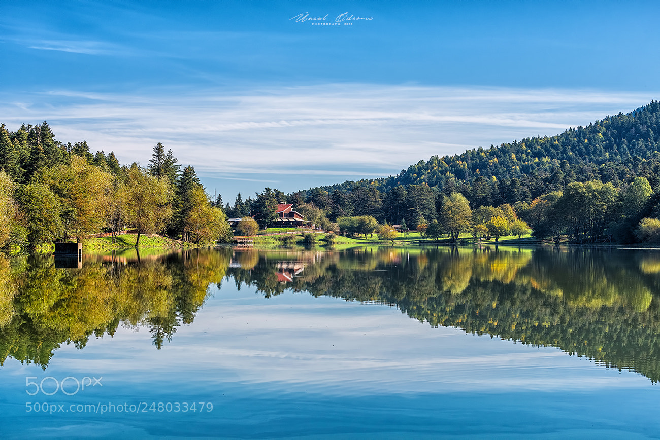 Nikon D810 sample photo. Colors of nature 15 photography