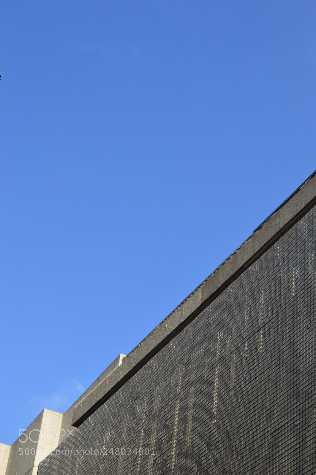 Nikon D3200 sample photo. Untitled photography