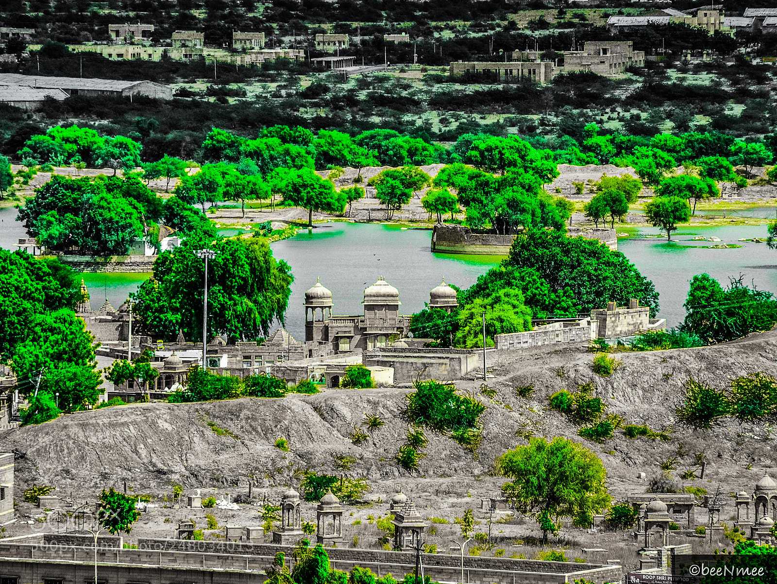 Nikon D5100 sample photo. An oasis in the photography
