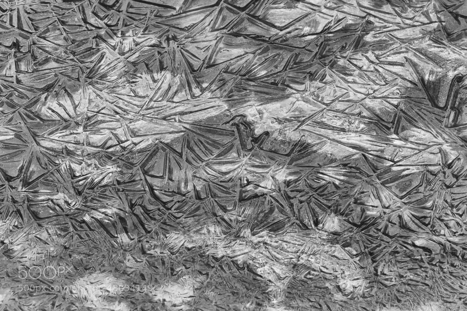 Nikon D700 sample photo. In the woods ice photography