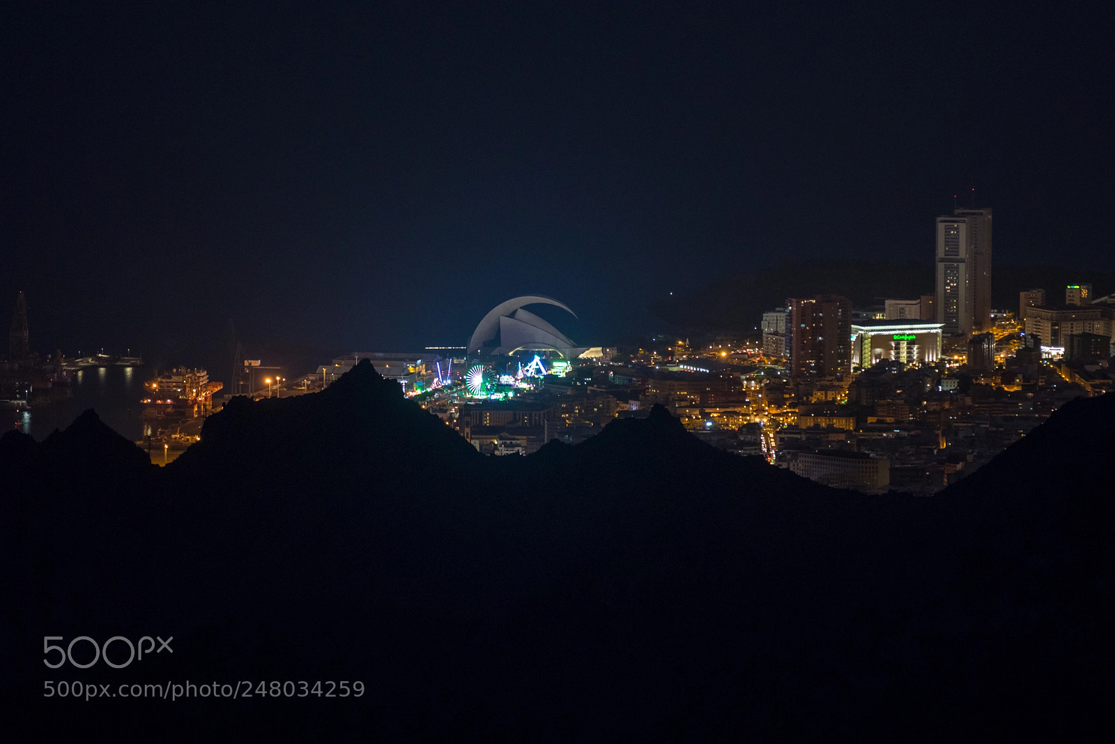 Canon EOS 80D sample photo. Night calling photography
