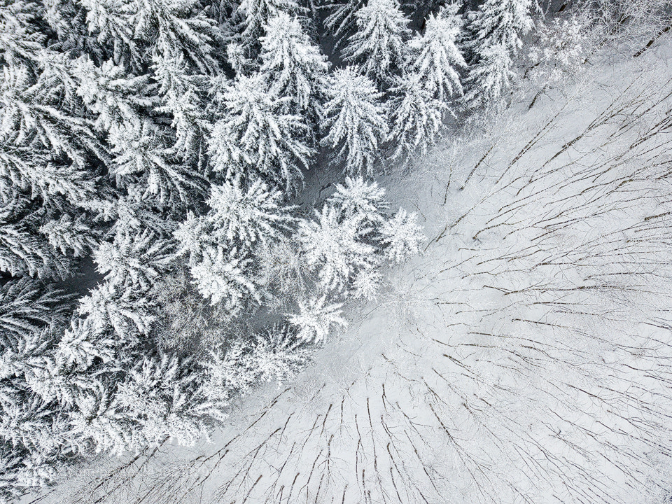 DJI FC220 sample photo. Yin and yang photography