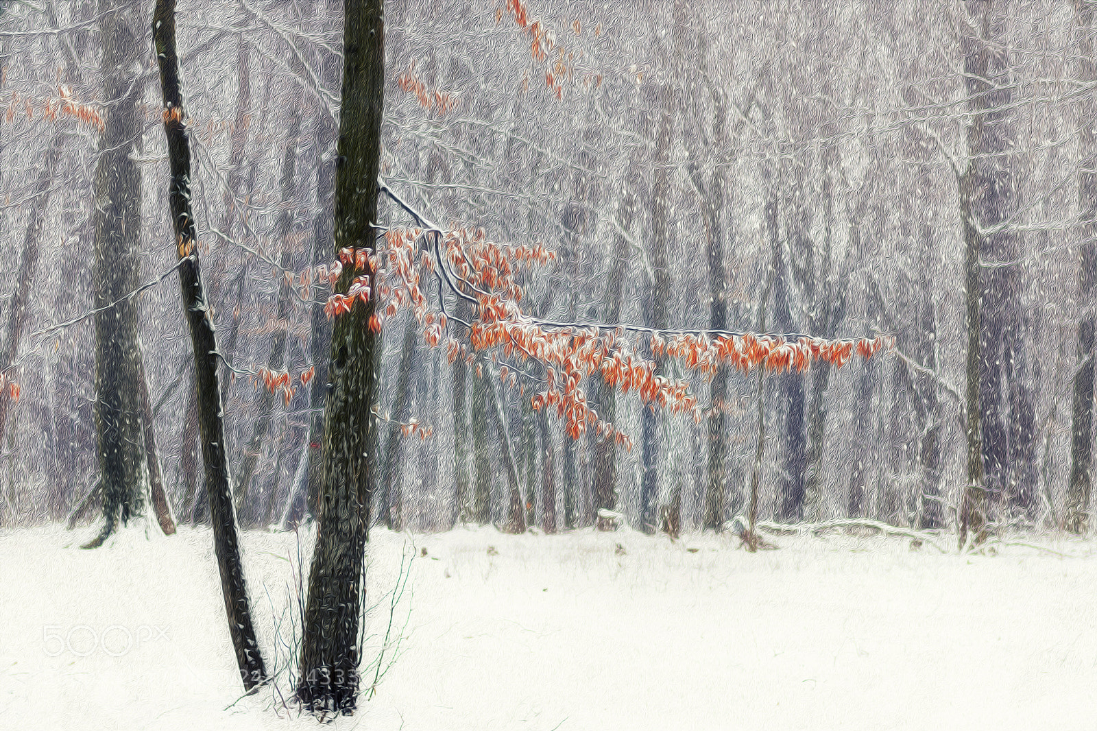 Nikon D7200 sample photo. Frozen photography