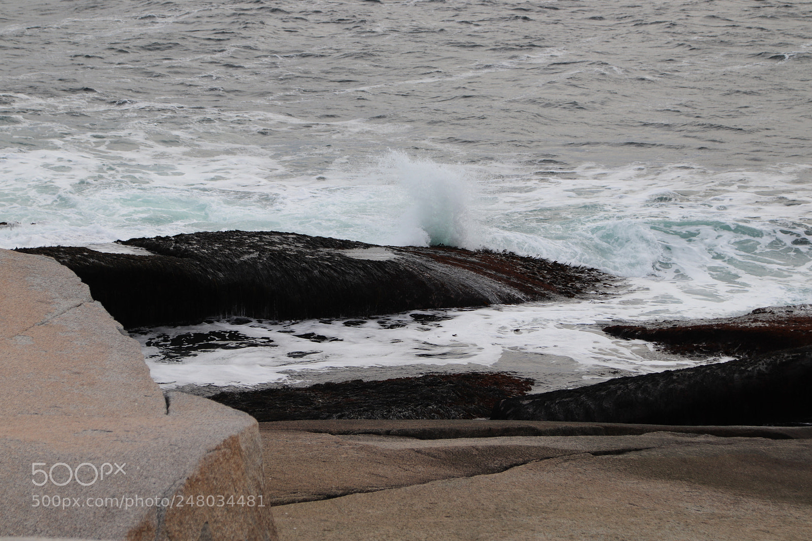 Canon EOS 800D (EOS Rebel T7i / EOS Kiss X9i) sample photo. Peggy's cove by kelly photography
