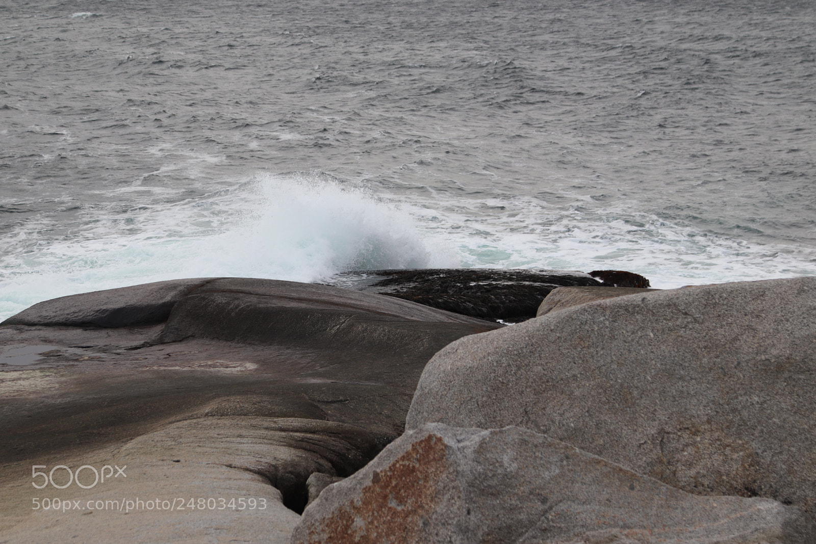 Canon EOS 800D (EOS Rebel T7i / EOS Kiss X9i) sample photo. Peggy's cove by kelly photography