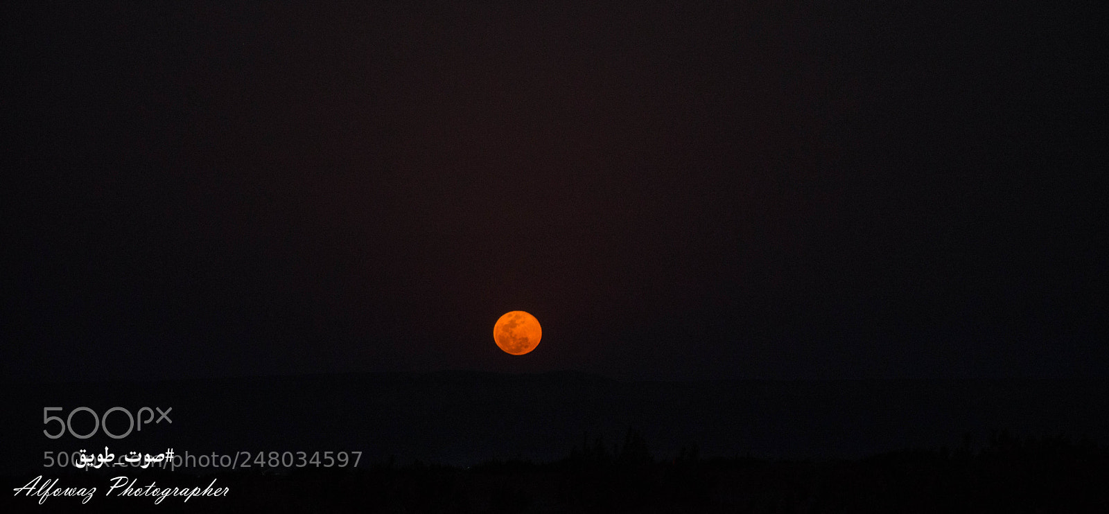 Nikon D3200 sample photo. Untitled photography