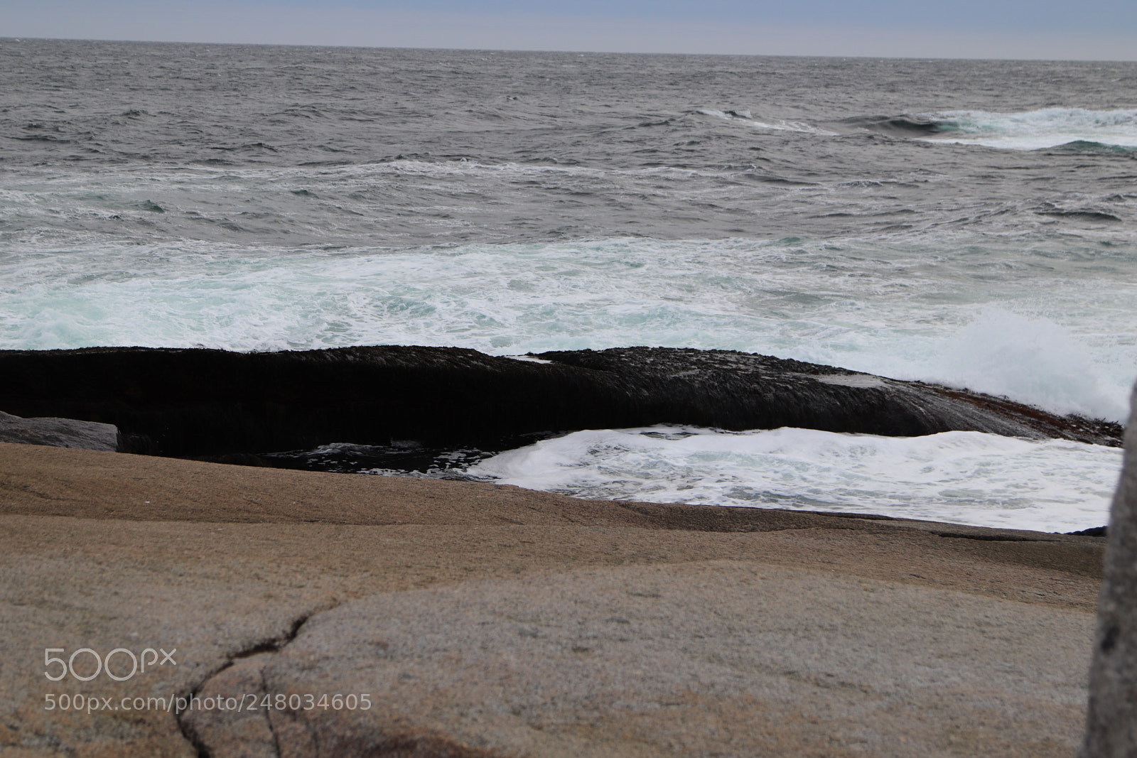 Canon EOS 800D (EOS Rebel T7i / EOS Kiss X9i) sample photo. Peggy's cove by kelly photography