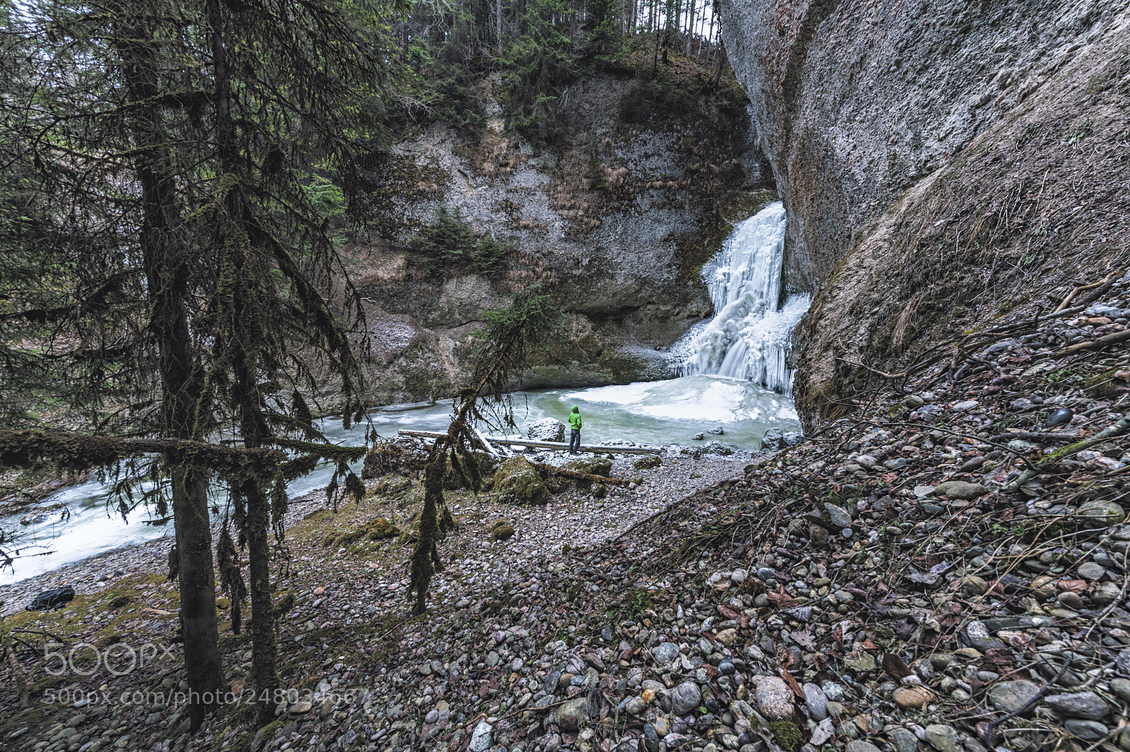 Nikon D700 sample photo. In the woods frozen photography