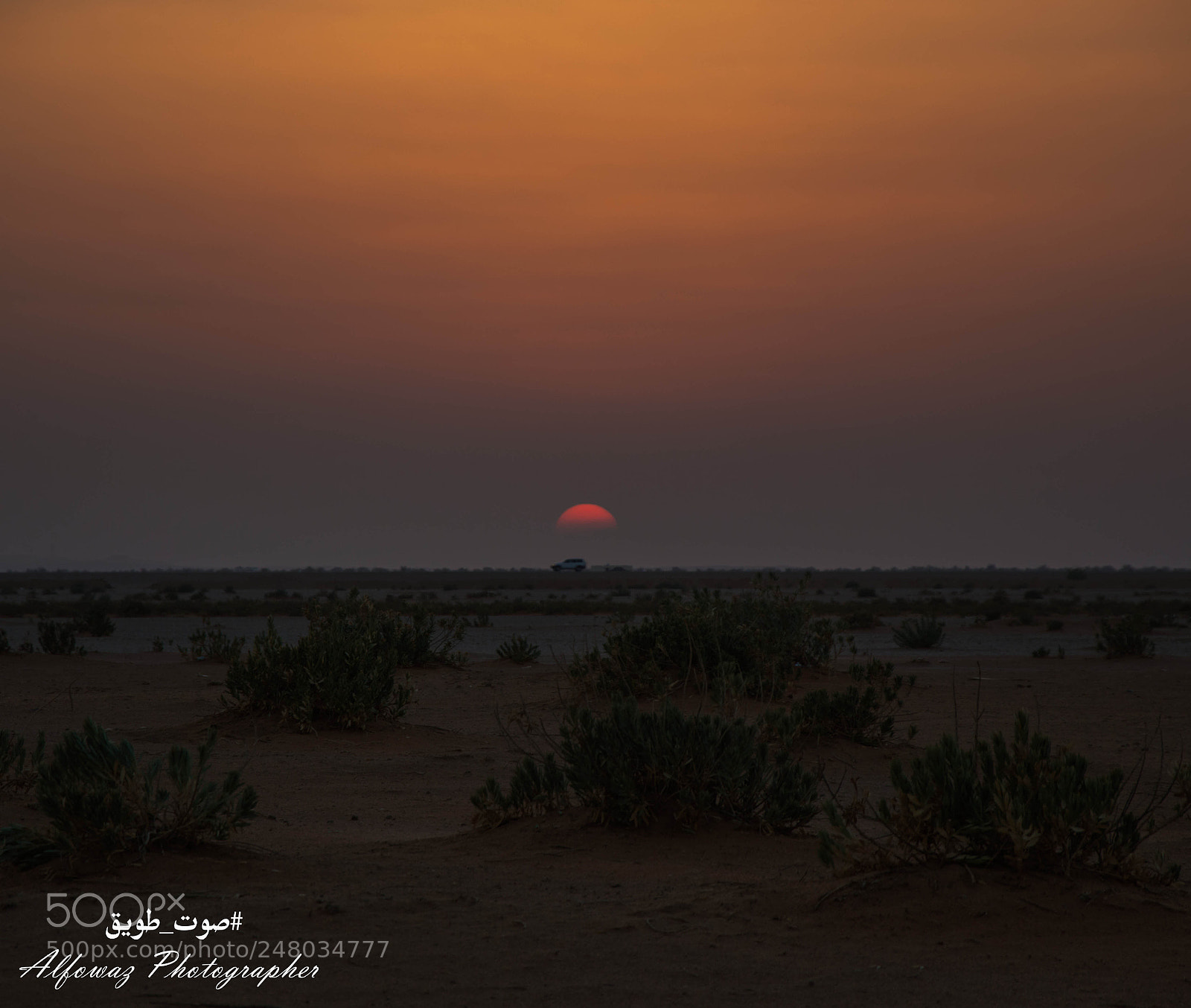 Nikon D3200 sample photo. Untitled photography