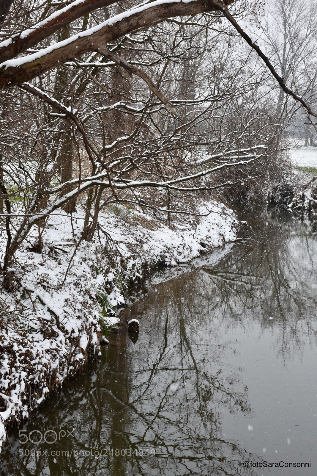 Nikon D7200 sample photo. Neve photography