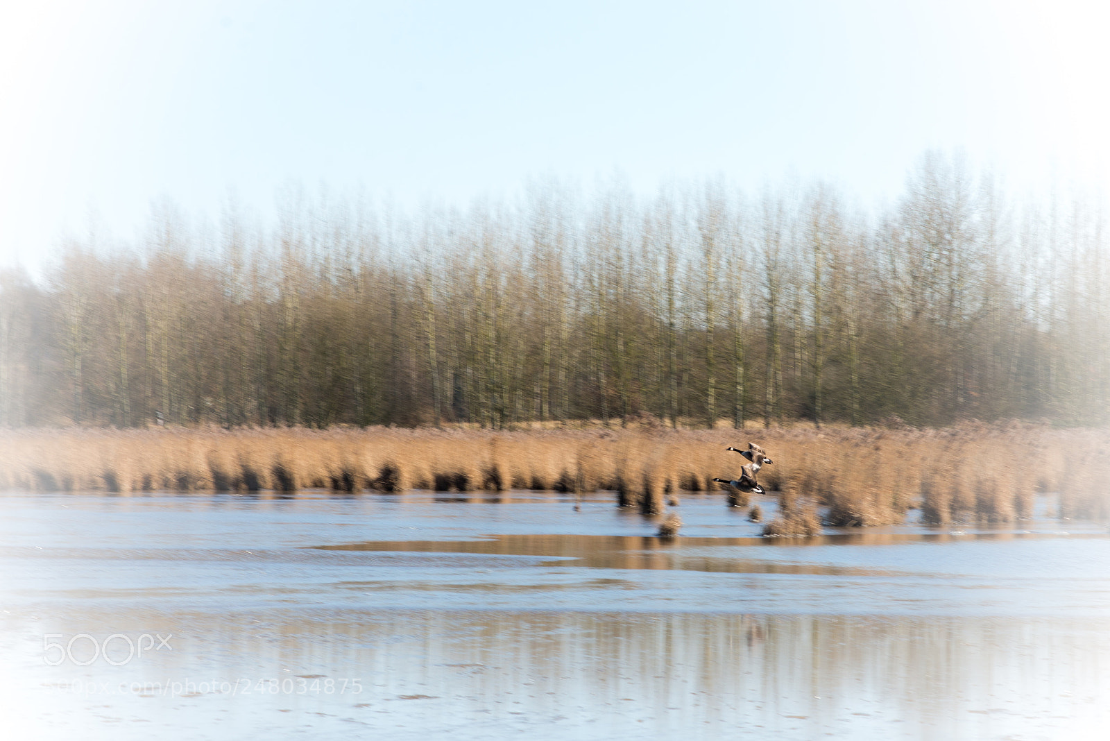 Nikon D800 sample photo. Lake photography