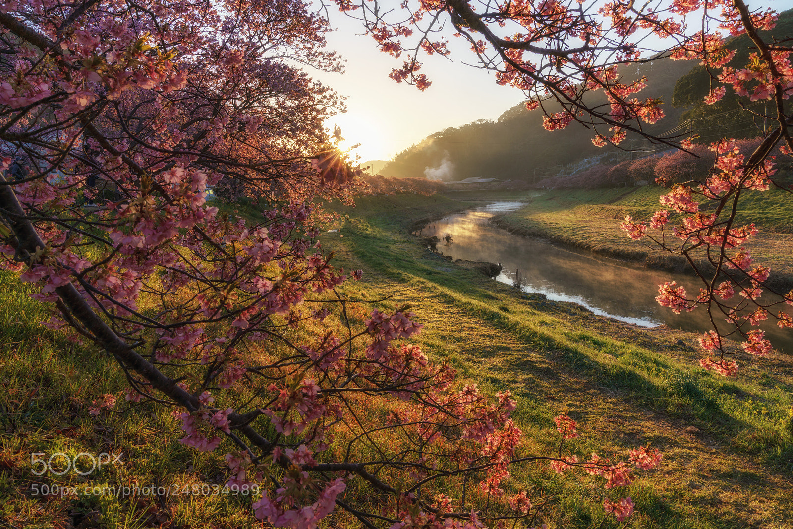 Sony a7R III sample photo. Sunrise in early spring photography