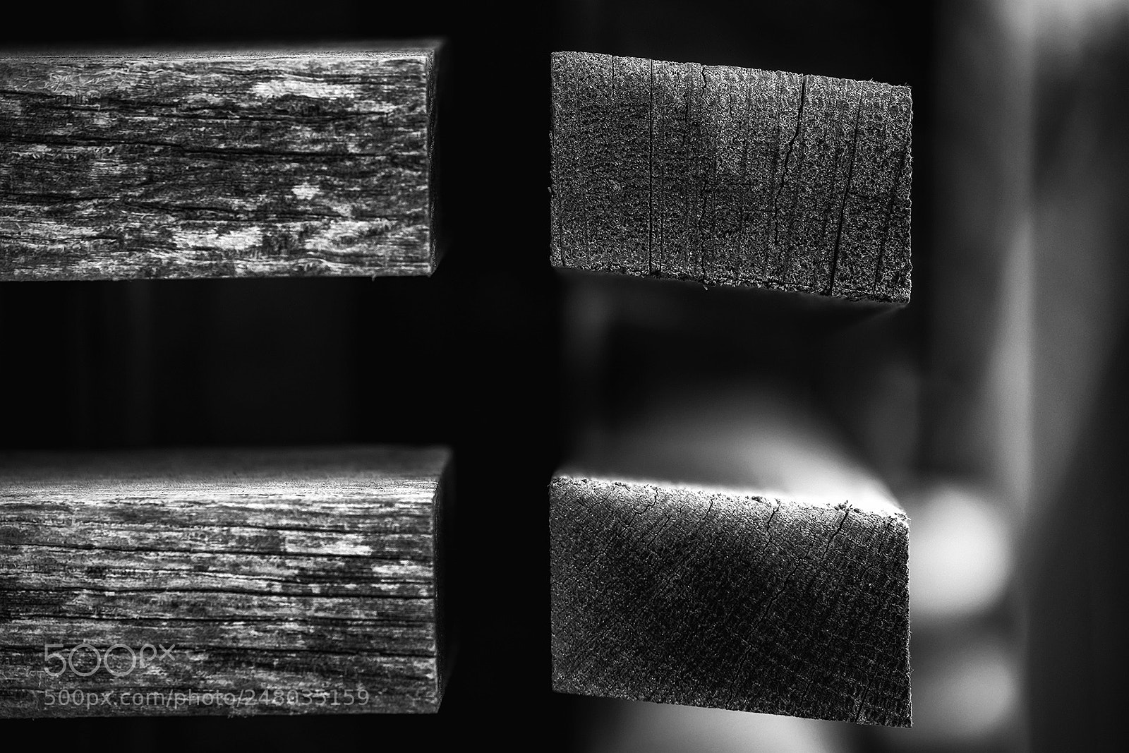 Fujifilm X-T2 sample photo. Floating wood photography