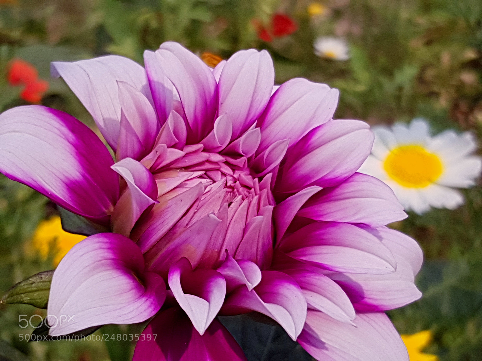 Samsung Galaxy S8 sample photo. Spring's here photography