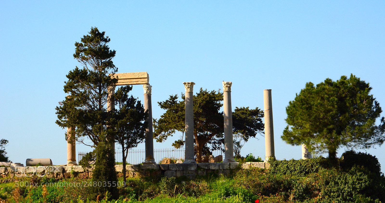 Nikon D7100 sample photo. Roman columns photography