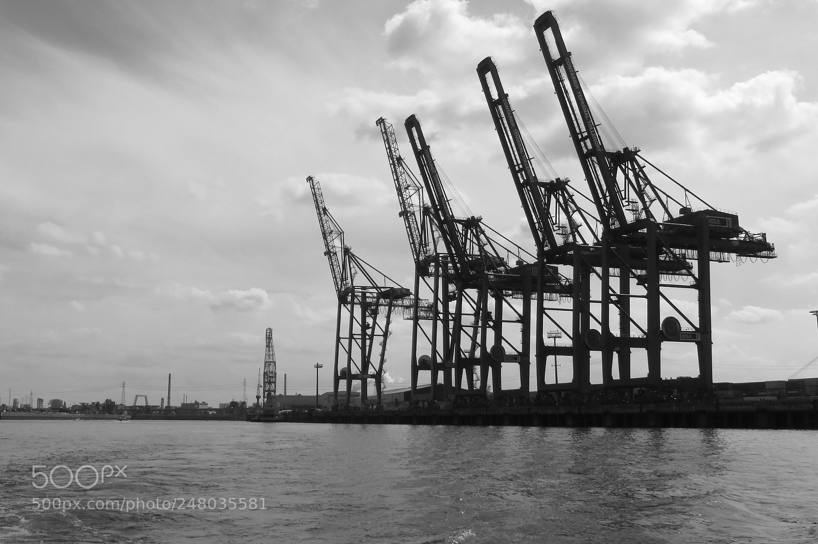Canon PowerShot SX710 HS sample photo. Hamburg's giraffes photography