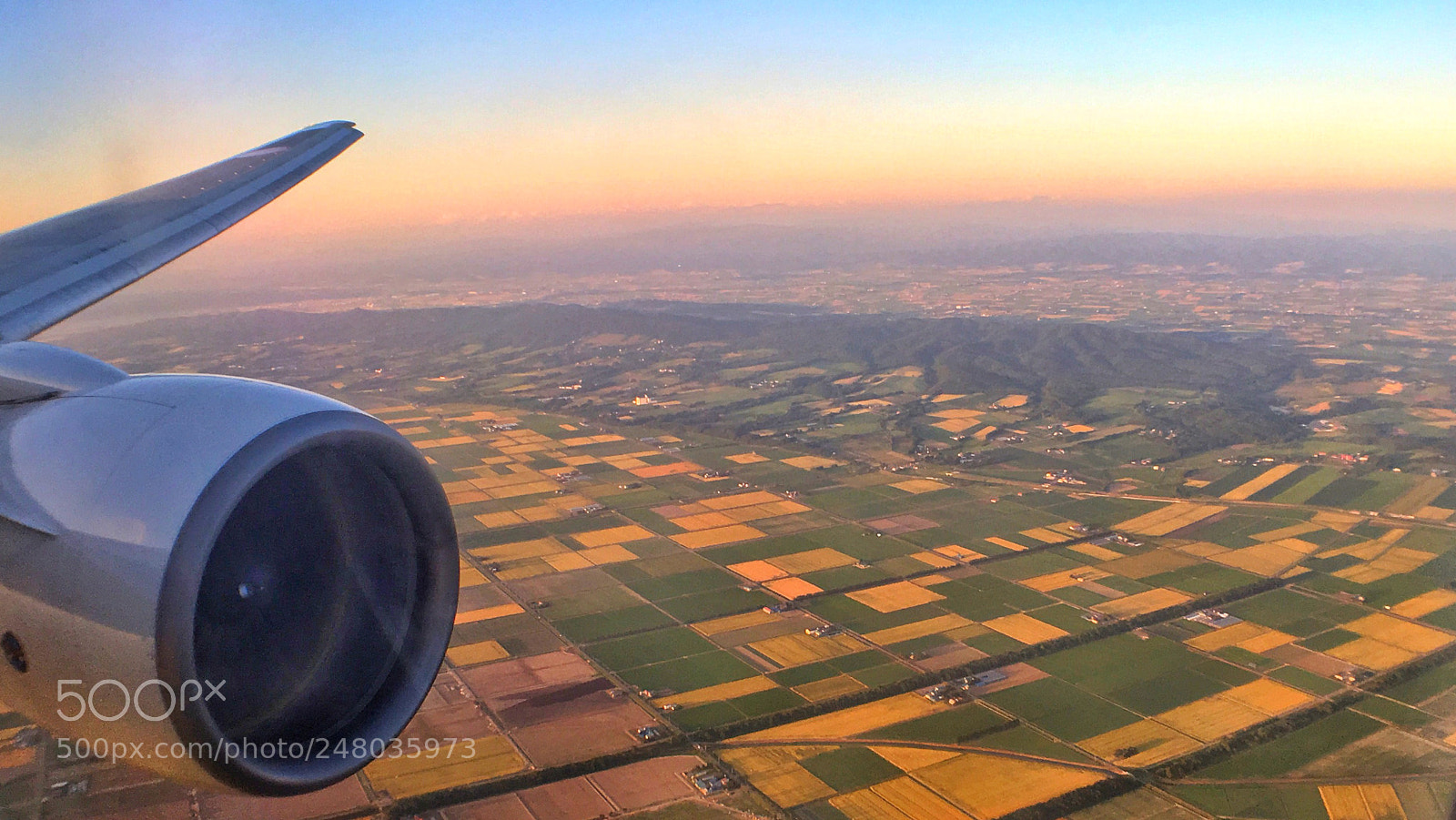 Apple iPhone 6s Plus sample photo. A field like patchwork. photography