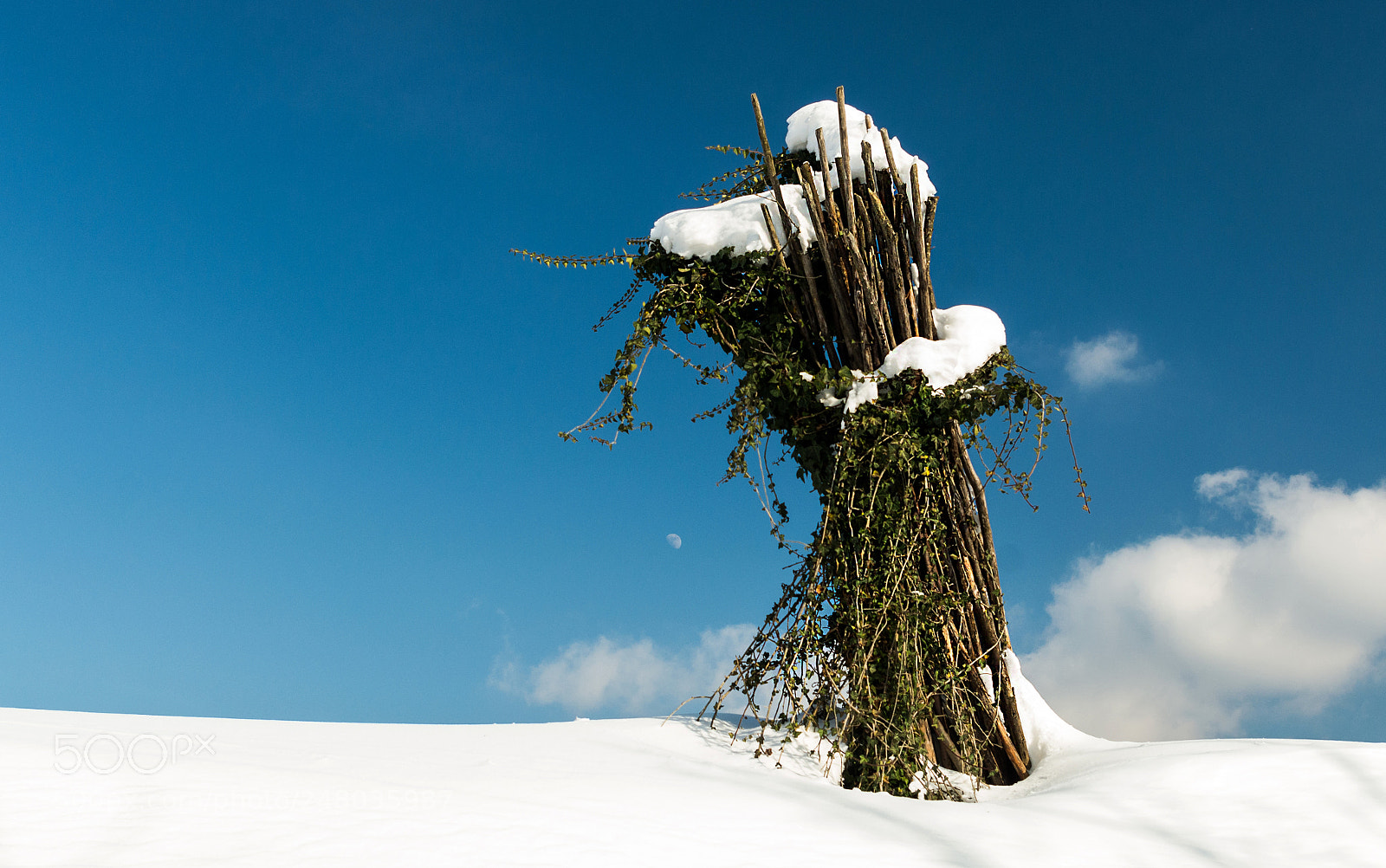 Pentax K-5 II sample photo. A stack of sticks photography