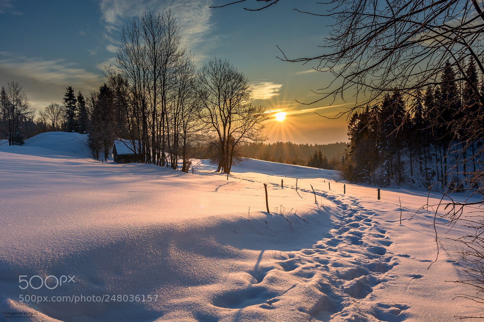 Nikon D7100 sample photo. Frosty sunrise photography