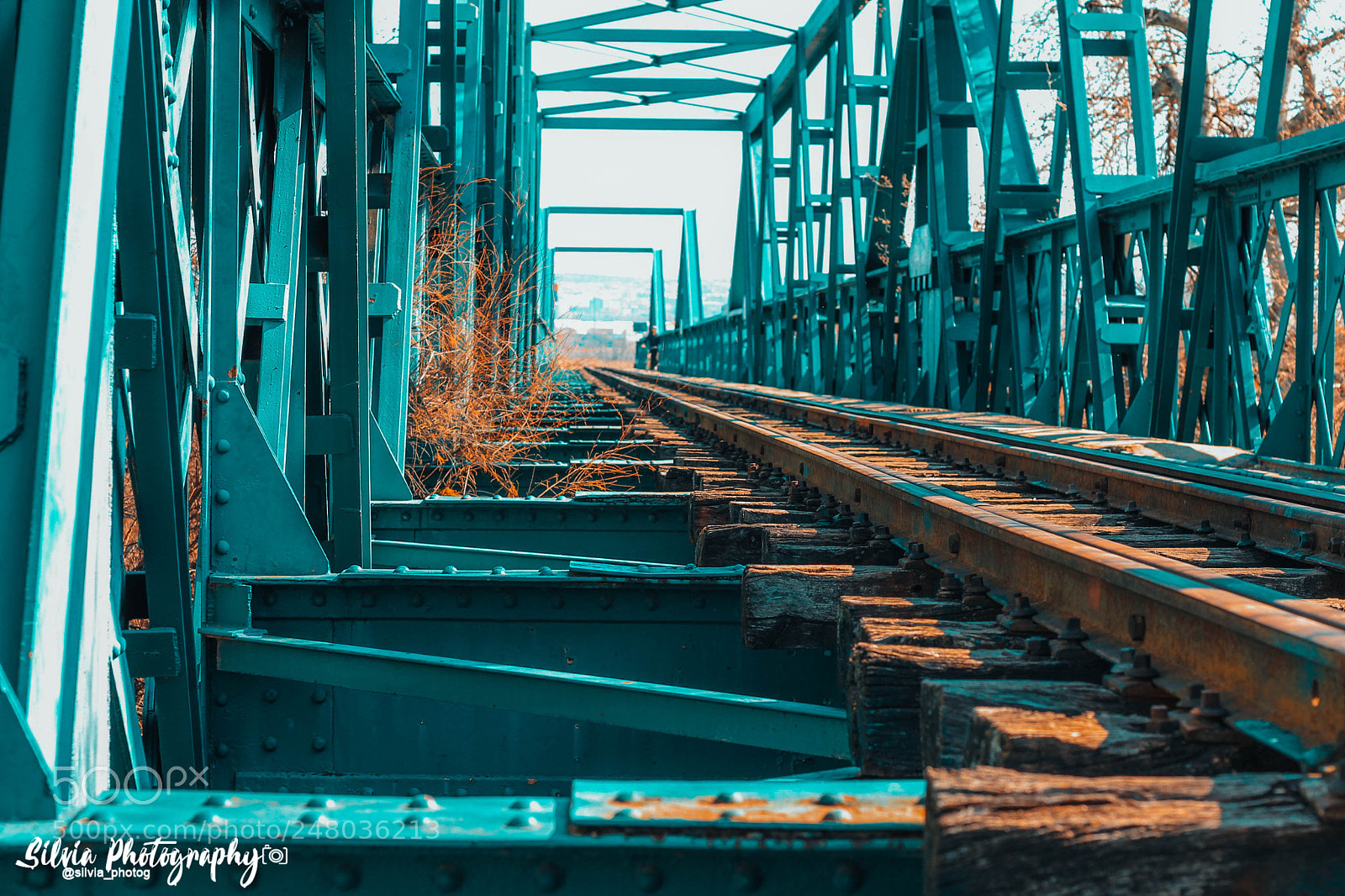 Canon EOS 700D (EOS Rebel T5i / EOS Kiss X7i) sample photo. Bridge photography