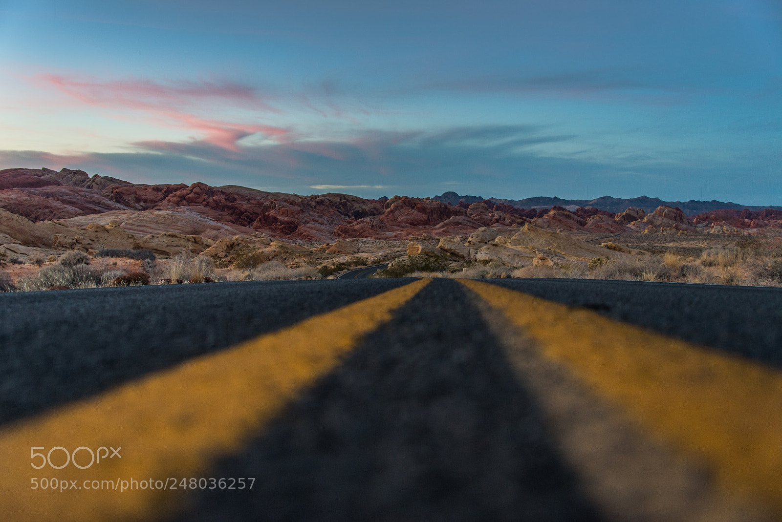 Nikon D600 sample photo. The road goes on photography