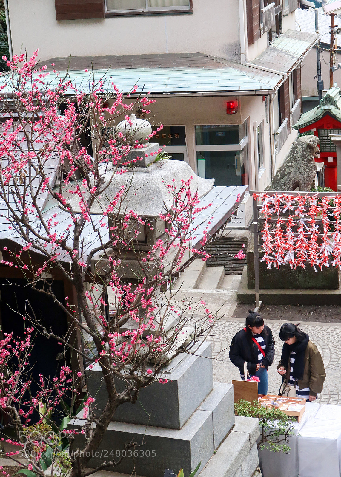 Canon PowerShot G7 X Mark II sample photo. One day in enoshima photography