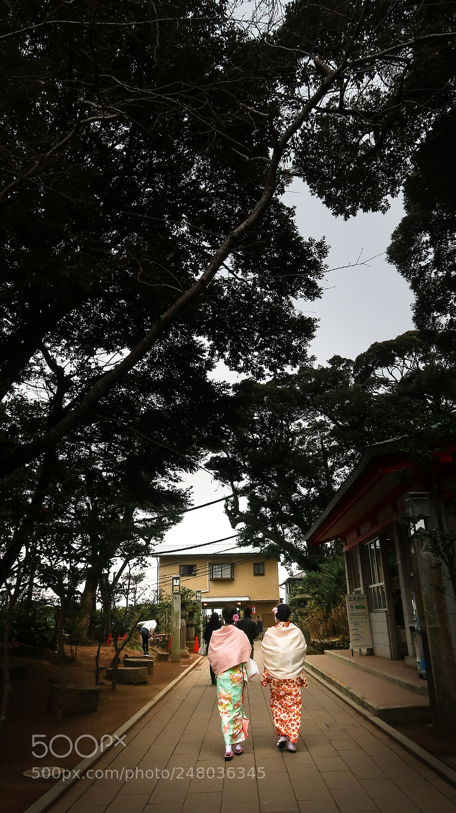 Canon PowerShot G7 X Mark II sample photo. One day in enoshima photography
