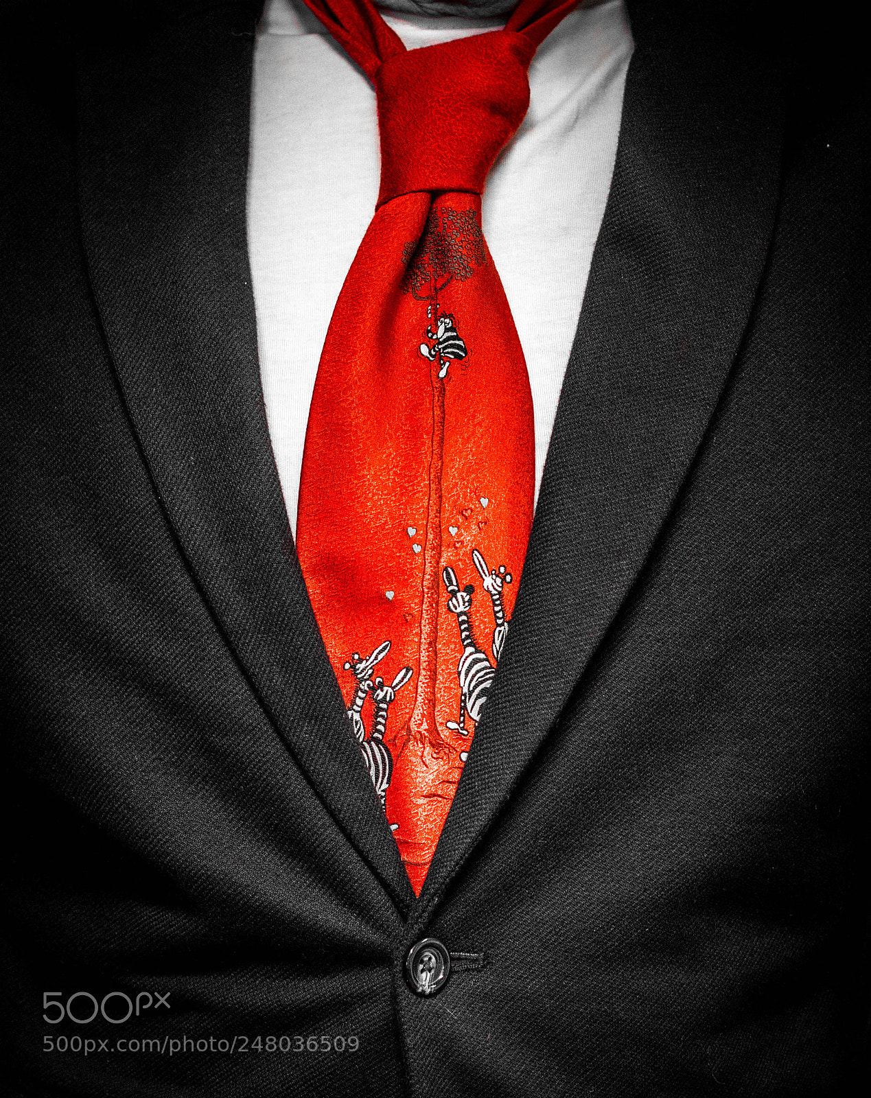 Canon EOS 600D (Rebel EOS T3i / EOS Kiss X5) sample photo. Facelessportrait; red tie photography