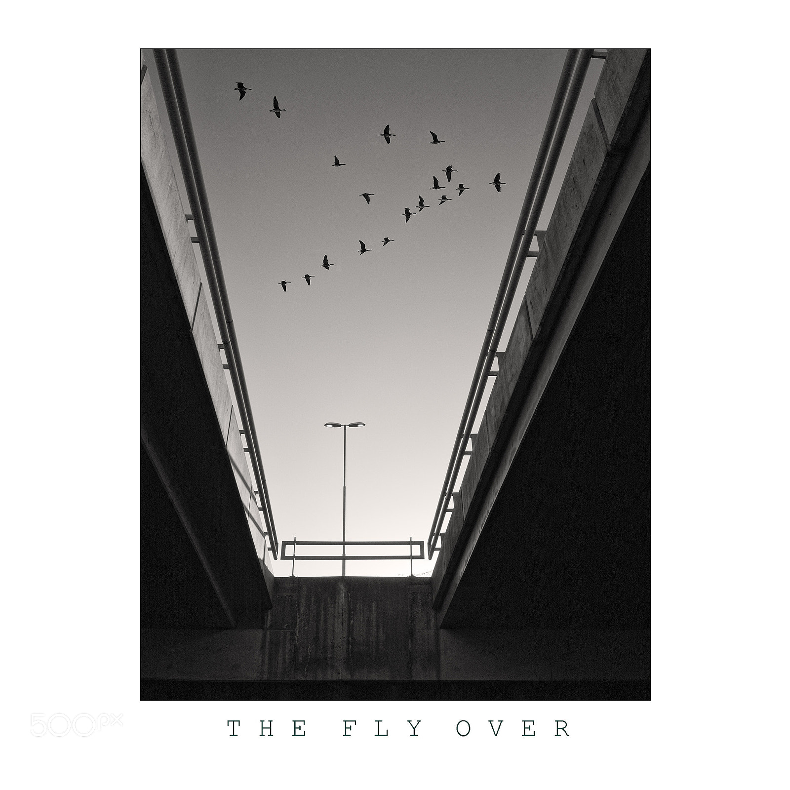Olympus PEN-F sample photo. The fly over photography