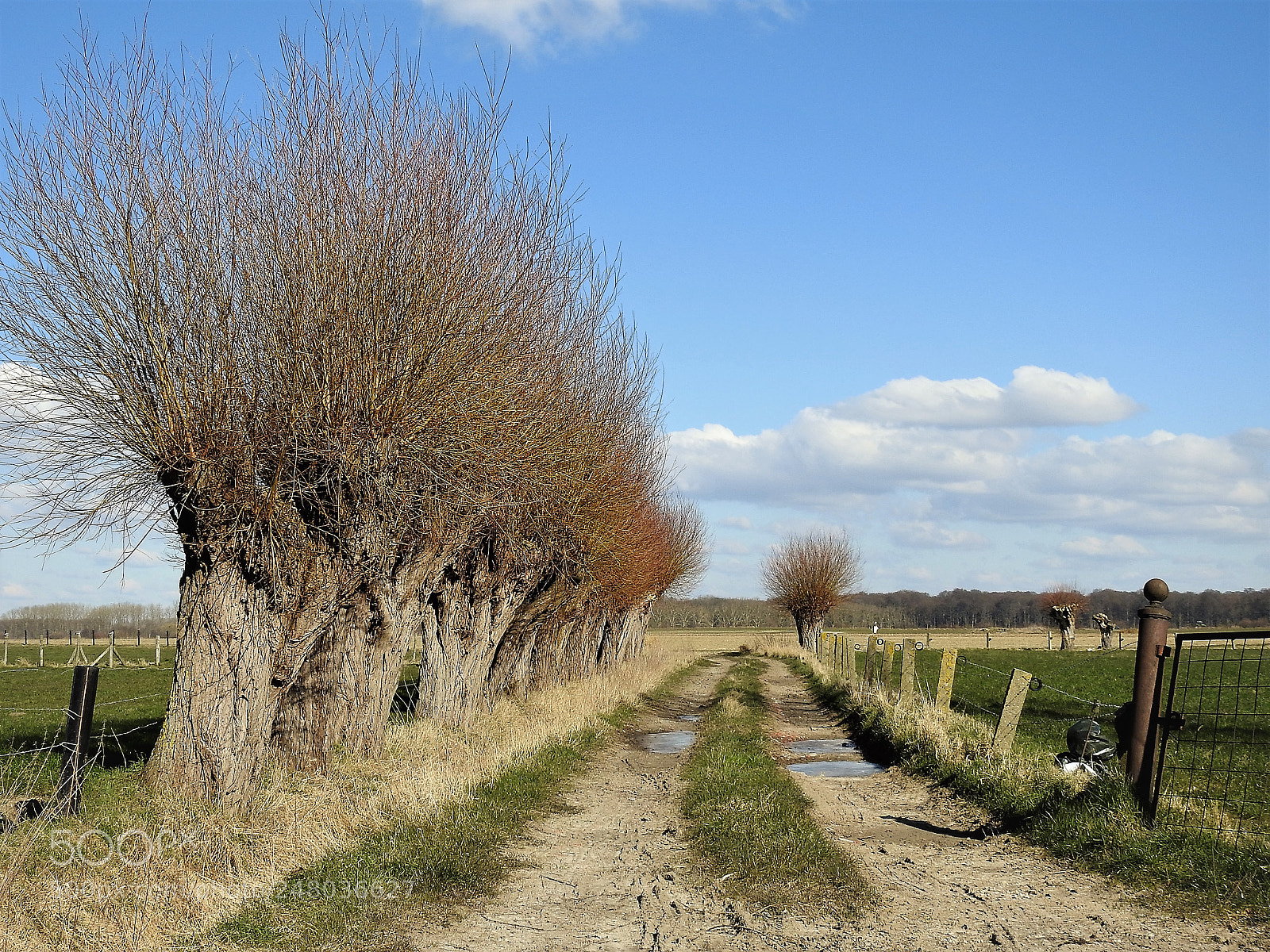 Nikon Coolpix P900 sample photo. Strade grimbianche photography