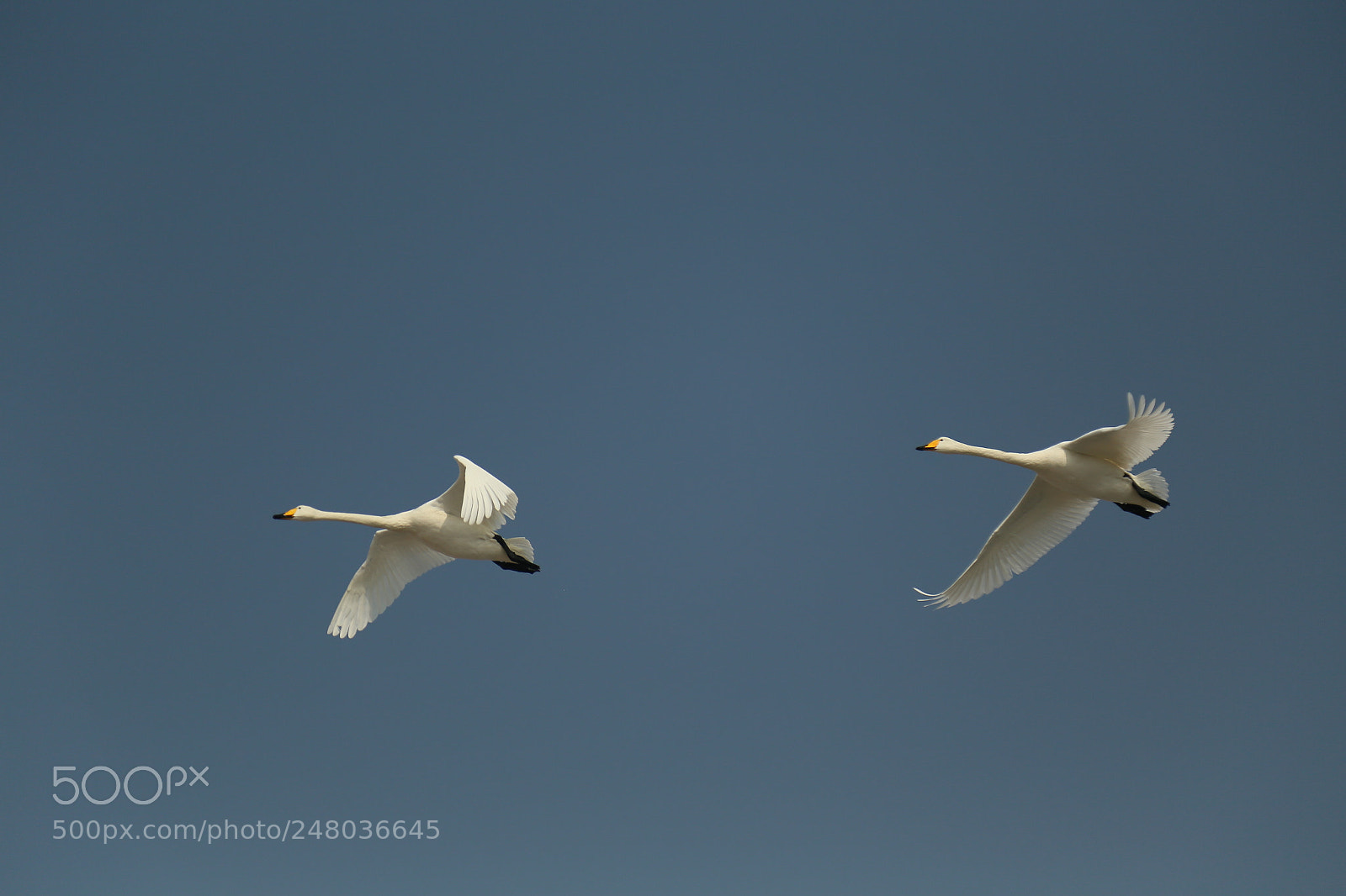 Canon EOS 6D + Canon EF 24-105mm F4L IS USM sample photo. Untitled photography